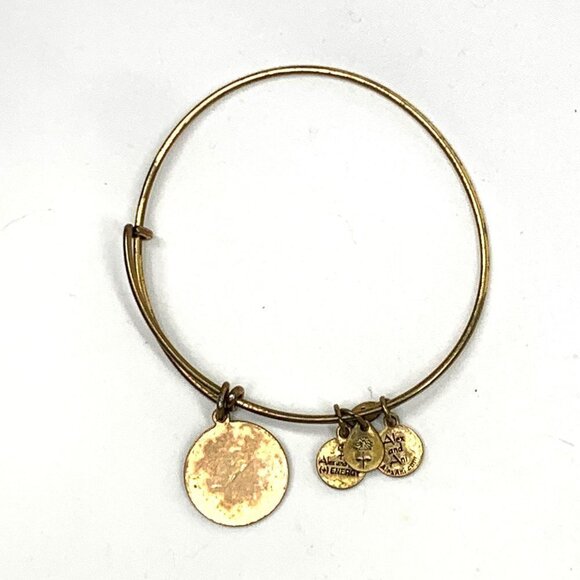 Alex and Ani Aquarius Zodiac Sign Charm Bracelet Gold - Expands 2"- 3.5" - Picture 2 of 2